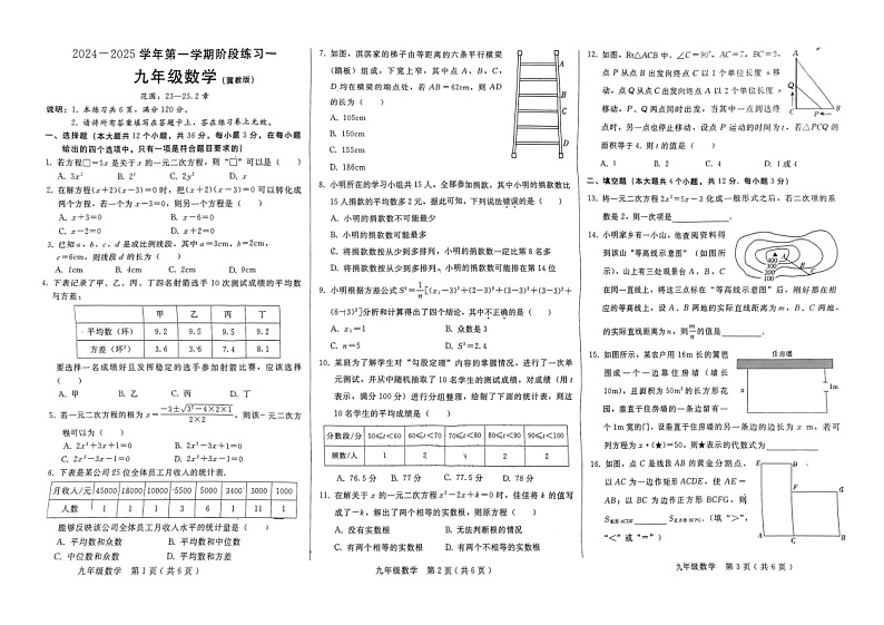 河北省邢台市襄都区+2024-2025学年九年级上学期9月月考数学试题第1页