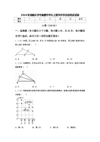 2024年湖南长沙市南雅中学九上数学开学达标测试试题【含答案】