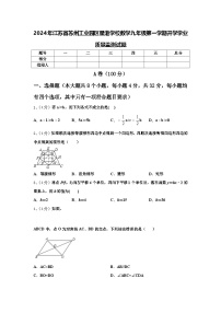 2024年江苏省苏州工业园区星港学校数学九年级第一学期开学学业质量监测试题【含答案】