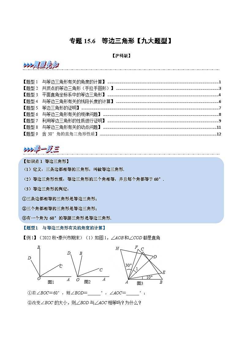 沪科版八年级数学上册举一反三系列专题15.6等边三角形【九大题型】练习(原卷版+解析)第1页