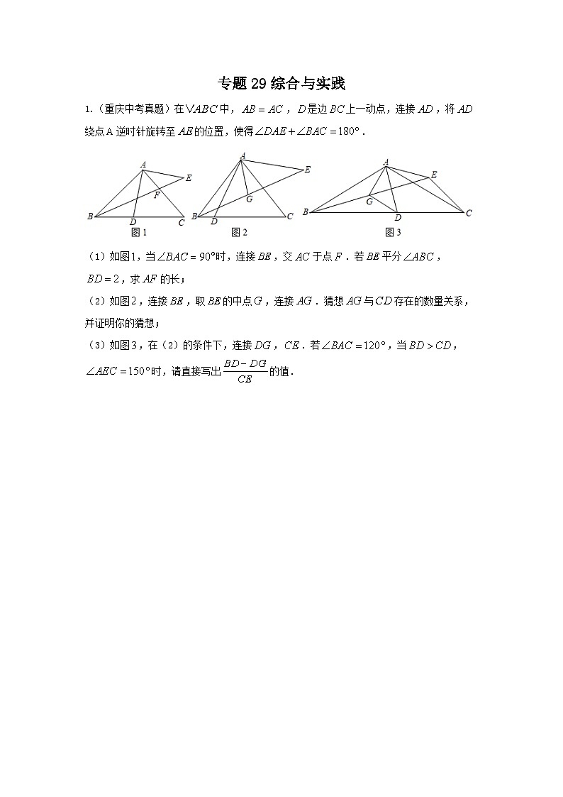 中考数学复习重难题型真题再现(全国通用)专题29综合与实践特训(原卷版+解析)第1页