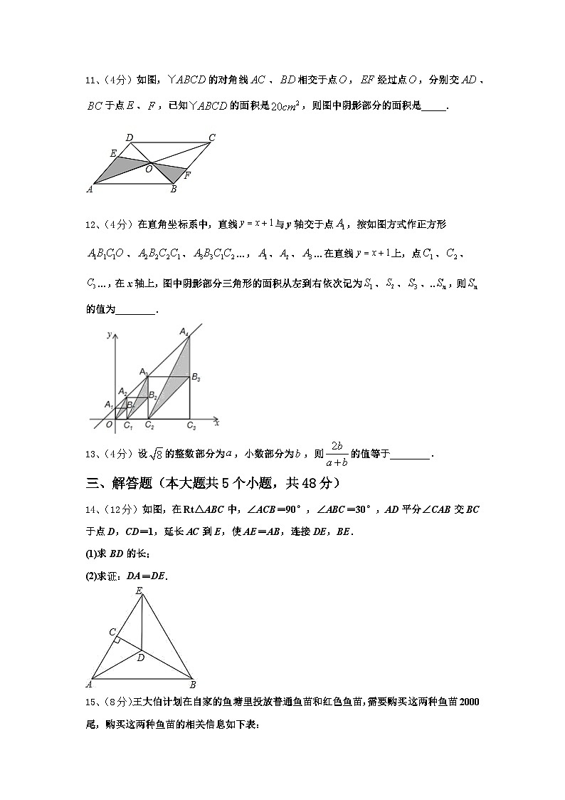 2024年山东省东营市胜利油田59中学九上数学开学达标检测模拟试题【含答案】第3页