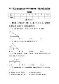 2024年山东省济南市实验中学九年级数学第一学期开学质量检测模拟试题【含答案】