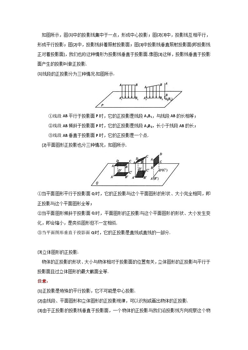 北师大版九年级数学上册《同步考点解读•专题训练》 专题5.1 投影（知识解读）03