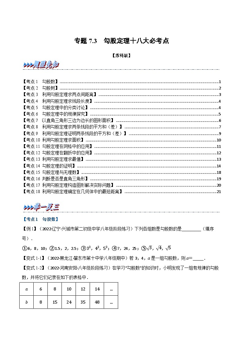 苏科版八年级数学上册举一反三系列专题7.3期中期末专项复习之勾股定理十八大必考点特训(原卷版+解析)第1页