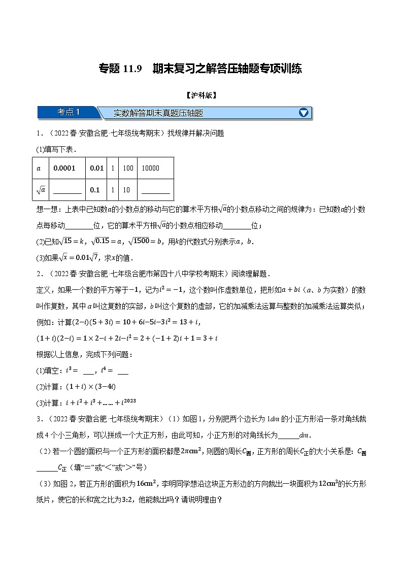 沪科版七年级数学下册举一反三系列专题11.9期末复习之解答压轴题专项训练特训(原卷版+解析)01