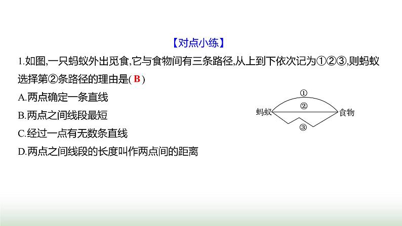 北师大版七年级数学上册第四章1线段、射线、直线第二课时课件第5页