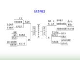 北師大版七年級數(shù)學(xué)上冊第四章單元綜合回顧課件