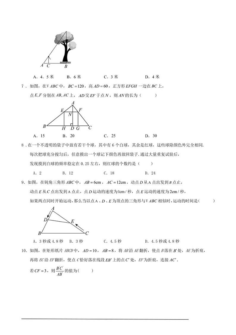 [数学][期中]2024～2025学年第一学期深圳市福田区九年级期中模拟练习卷原题版02