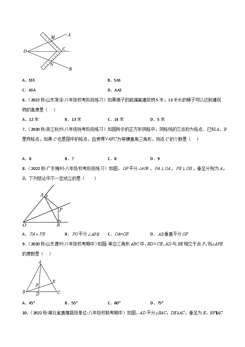 北师大版八年级数学下册同步精品第一章三角形的证明(单元测试)(原卷版+解析)02