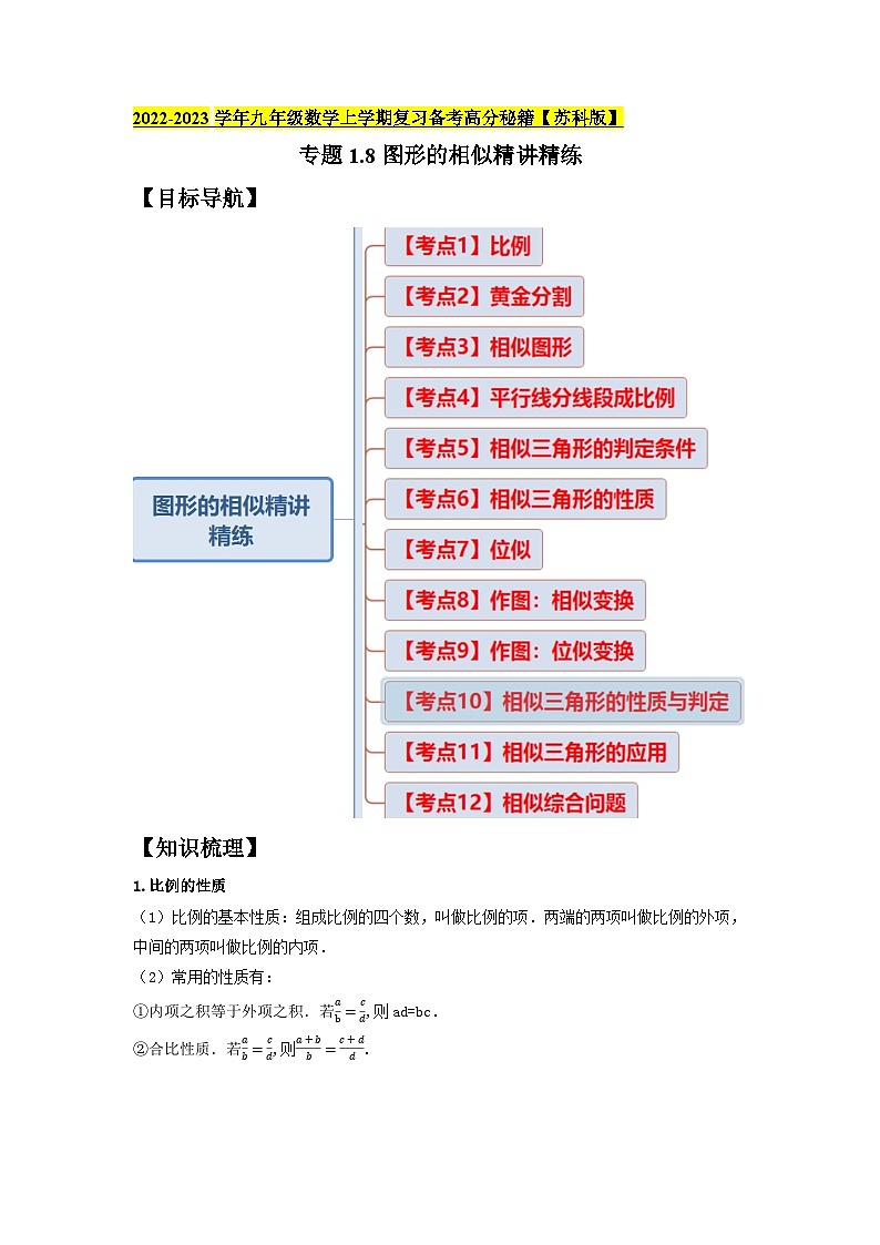 苏科版九年级数学上学期复习备考高分秘籍专题1.8图形的相似(知识梳理+典例剖析+变式训练)特训(原卷版+解析)第1页