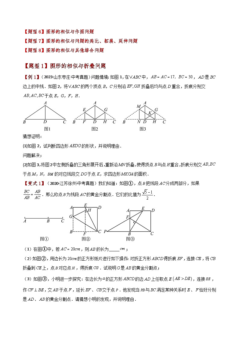 专题4.33 图形的相似中考压轴题分类专题（知识梳理与题型分类讲解）（北师大版）（学生版）-2024-2025学年九年级数学上册基础知识专项突破讲与练（北师大版）第2页