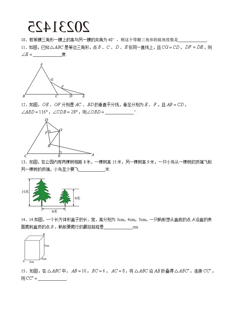 江苏省苏州市苏州中学2024--2025学年秋八年级上学期10月数学能力测评卷第3页