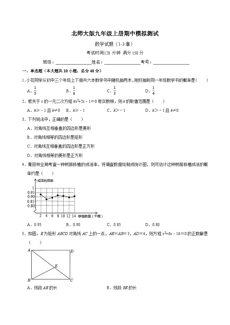 2024-2025学年九年级上学期北师大版数学期中模拟试题第1页