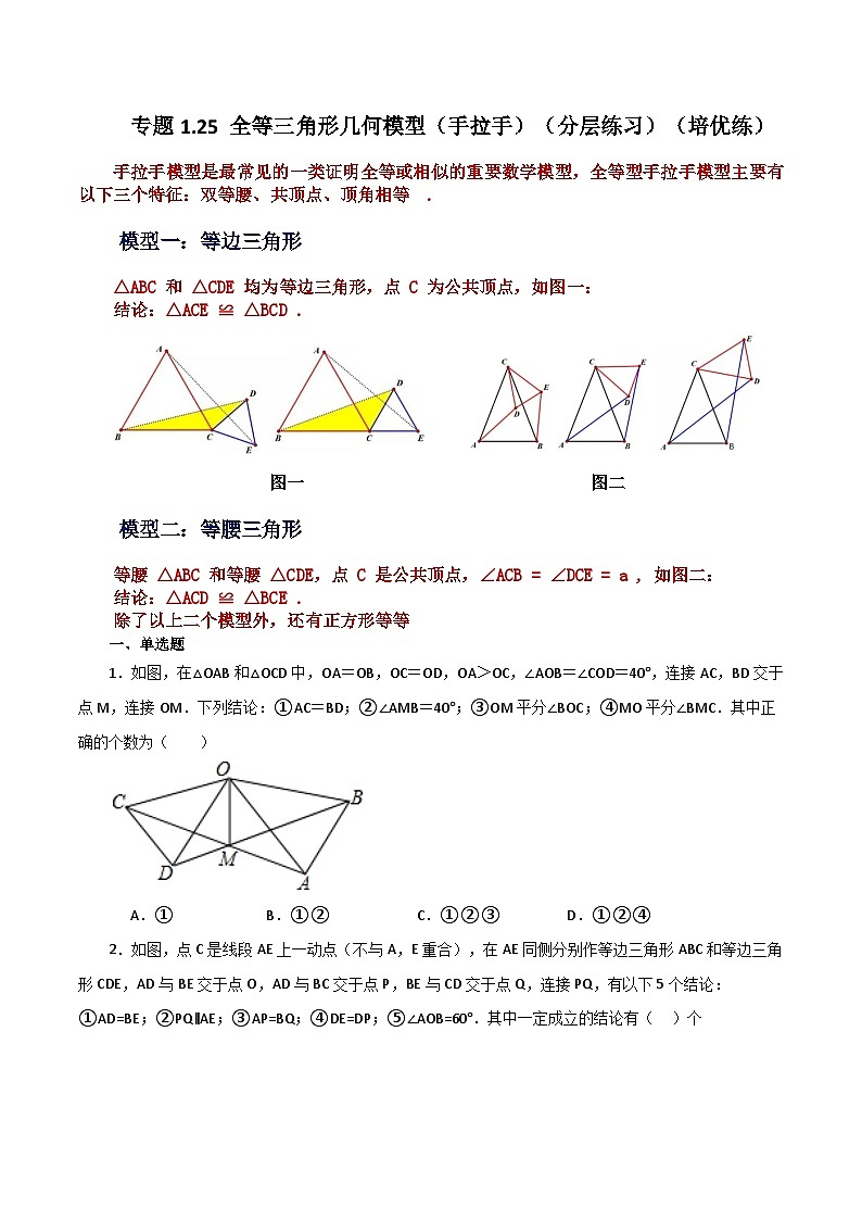苏科版八年级数学上册基础知识专项突破讲与练 专题1.25 全等三角形几何模型（手拉手）（分层练习）（培优练）（附答案）01
