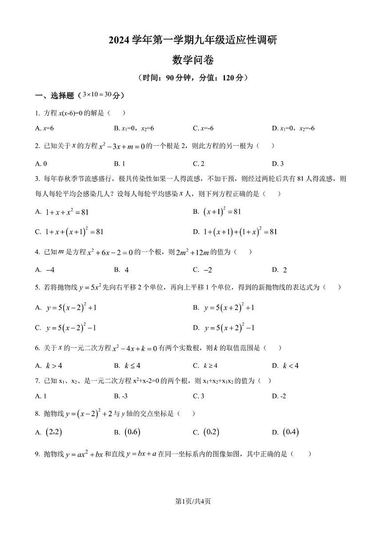 广州华侨外国语学校2024-2025学年九年级上学期数学适应性训练（原卷版）第1页