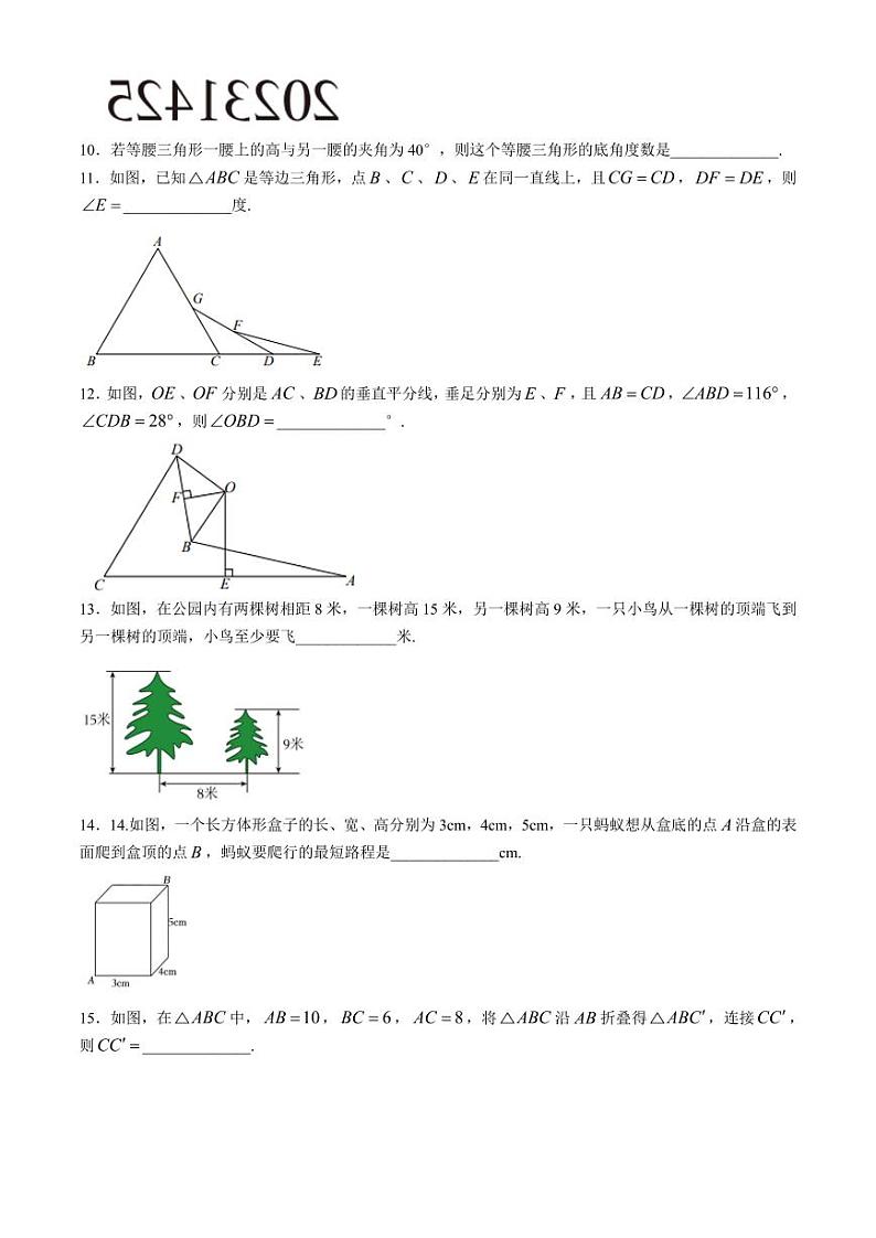 苏州中学2024年秋八年级上学期10月数学能力测评卷+答案第3页