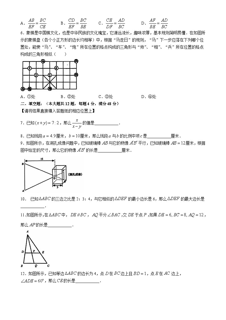 _上海市虹口区部分学校2024-2025学年九年级上学期数学第一次月考试题02