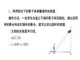 4.6《利用相似三角形测高》数学北师大版 九年级上册教学课件