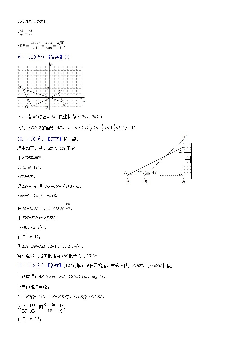 山东省聊城市高唐县第一实验中学2024-2025学年 九年级上学期数学月考试题02