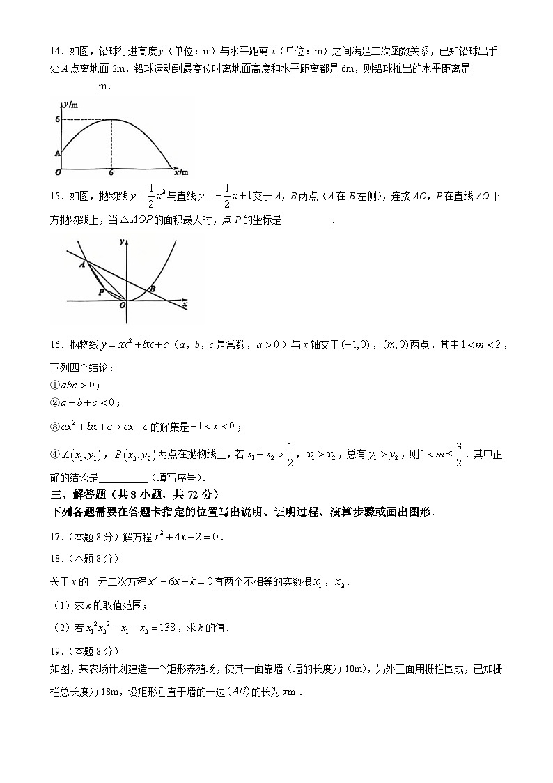 湖北省武汉市硚口区2024~2025学年九年级上学期10月质检数学试卷(无答案)03