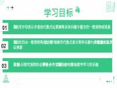 3.3探索与表达规律（第二课时 借助运算解释规律和现象）课件  2024-2025学年北师大版数学七年级上册