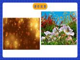 苏科版八上数学 2.3《设计轴对称图案》课件