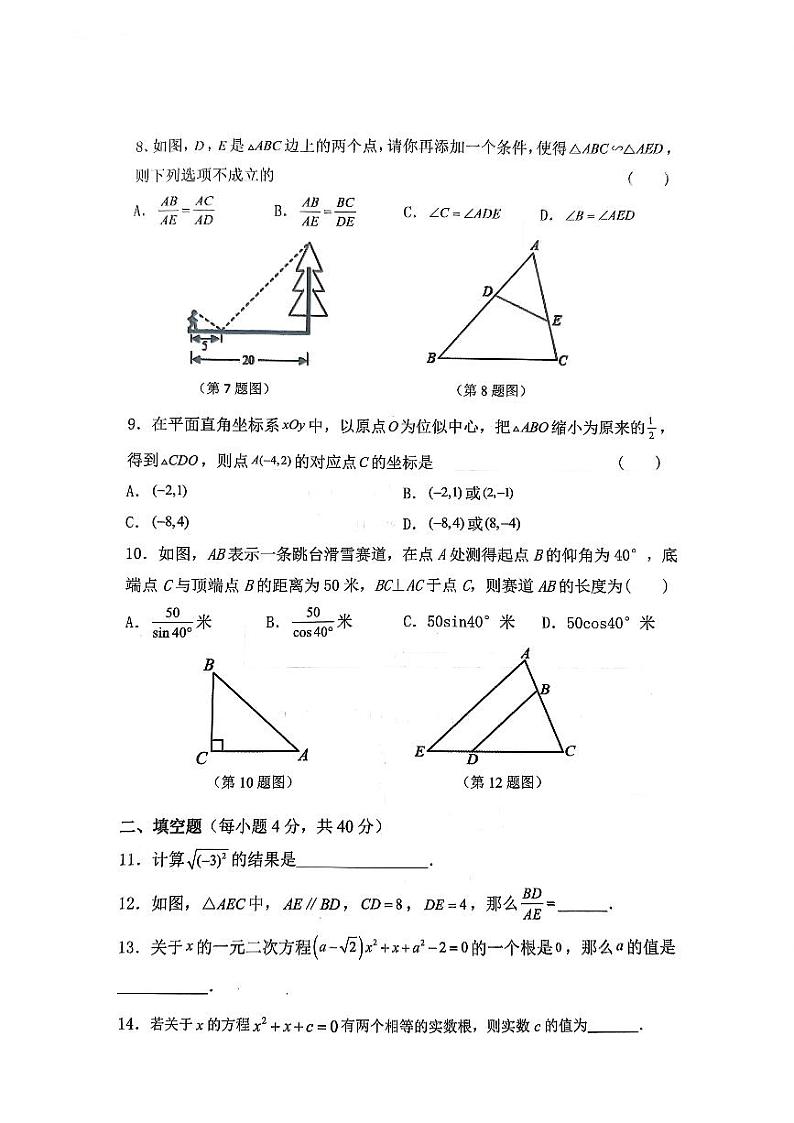吉林省长春市农安县2023一2024学年度第一学期期末学情调研试卷九年级数学试题第2页