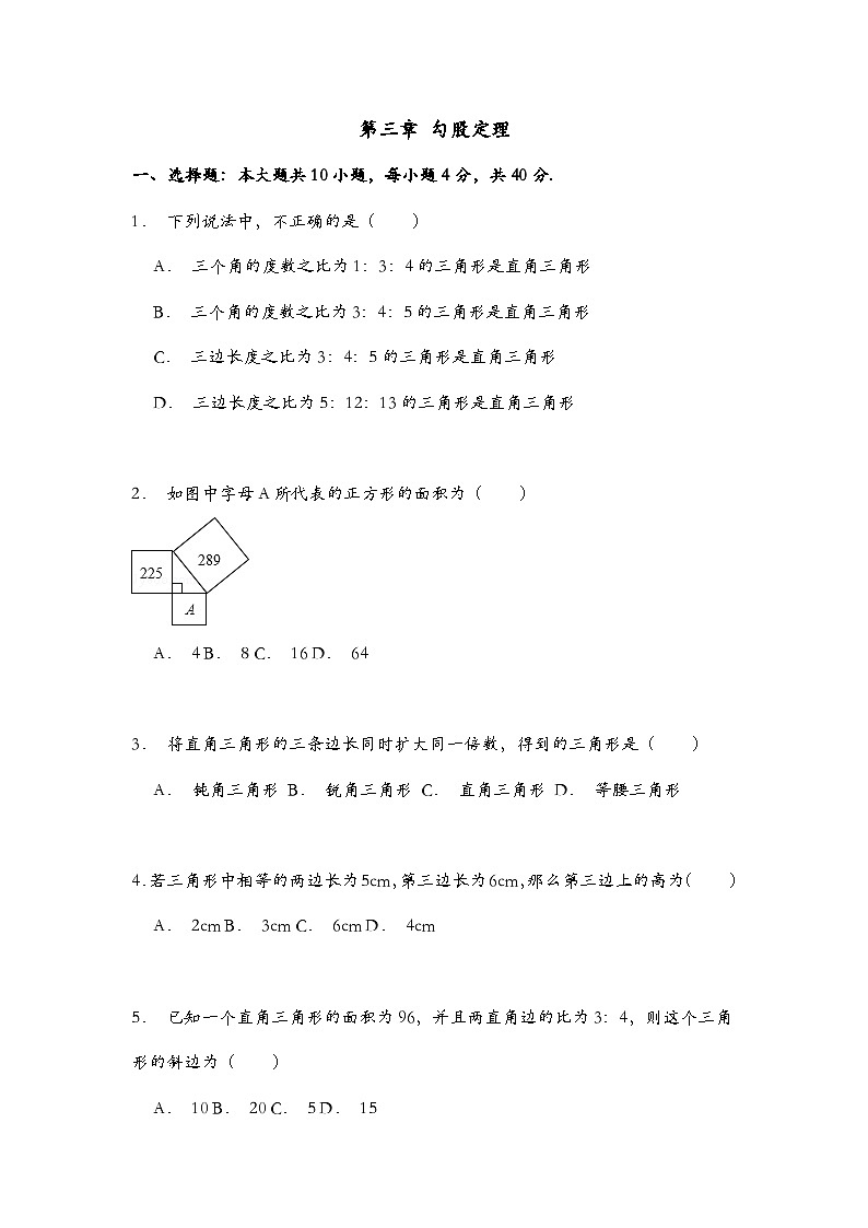 泰安市泰山实验中学鲁教版2024-2025七年级上册数学第三章《勾股定理》单元检测2和答案01