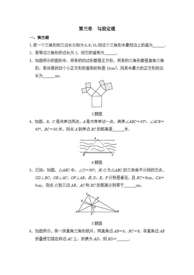 泰安市泰山实验中学鲁教版2024-2025七年级上册数学第三章勾股定理测试题和答案01