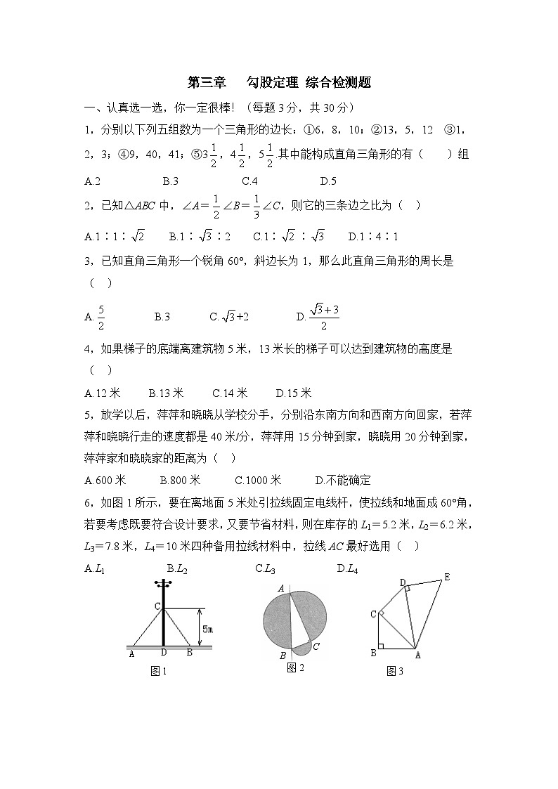 泰安市泰山实验中学鲁教版2024-2025七年级上册数学第三章勾股定理综合检测和答案01