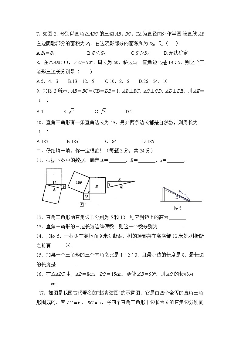 泰安市泰山实验中学鲁教版2024-2025七年级上册数学第三章勾股定理综合检测和答案02