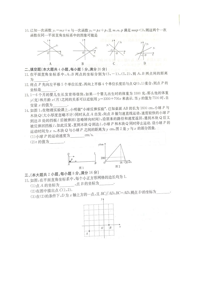 安徽省合肥市庐阳中学2024-2025学年八年级上学期第一次月考数学试卷+02