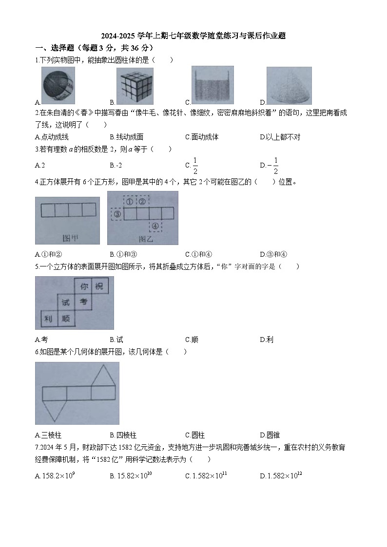 河南省郑州枫杨外国语学校2024-2025学年七年级上学期第一次月考数学试卷(无答案)第1页