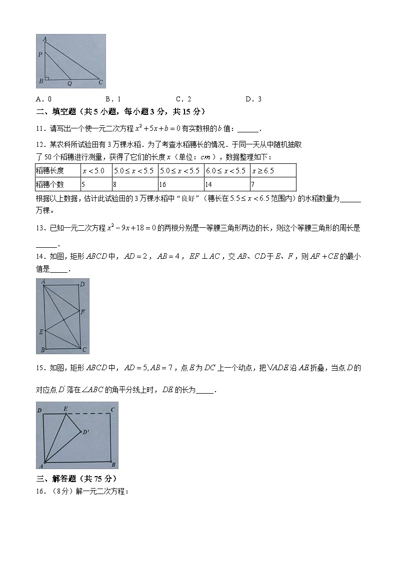 河南省郑州枫杨外国语学校2024-2025学年九年级上学期第一次月考数学试卷(无答案)03