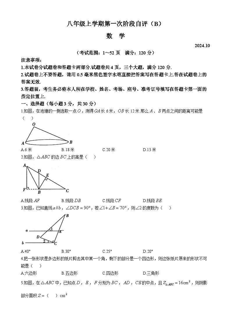 河南省安阳市林州市第七中学2024-2025学年八年级上学期10月月考数学试题(无答案)01