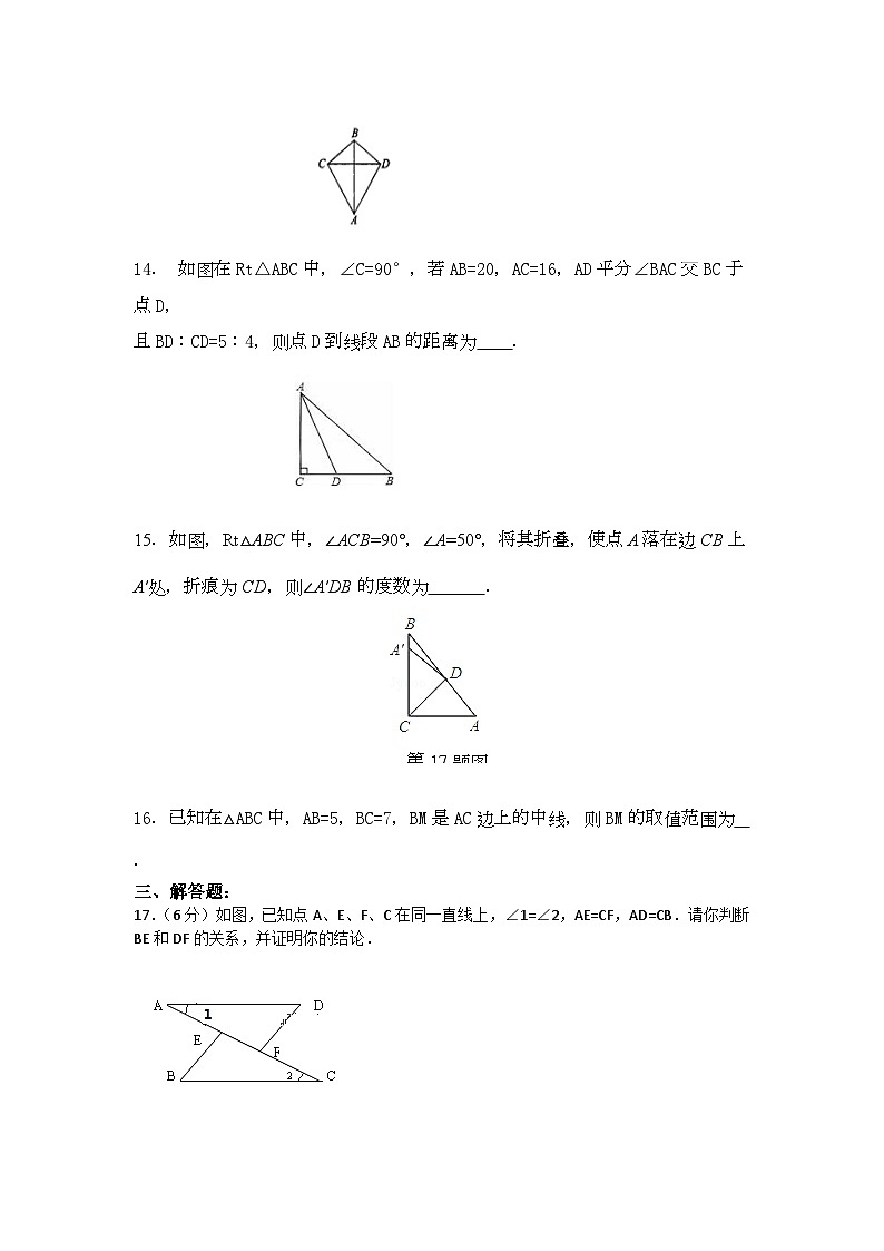 河南省信阳市淮滨县台头乡河东中学2024---2025学年八年级上学期期中数学试题03