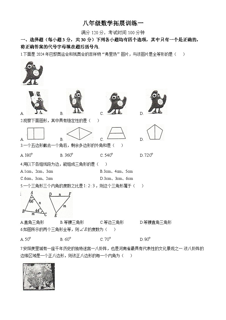 河南省安阳市滑县2024-2025学年八年级上学期10月月考数学试题01
