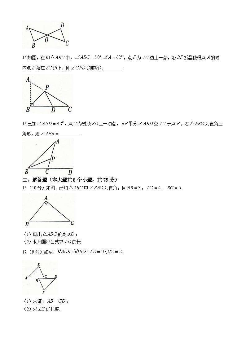 河南省安阳市滑县2024-2025学年八年级上学期10月月考数学试题03