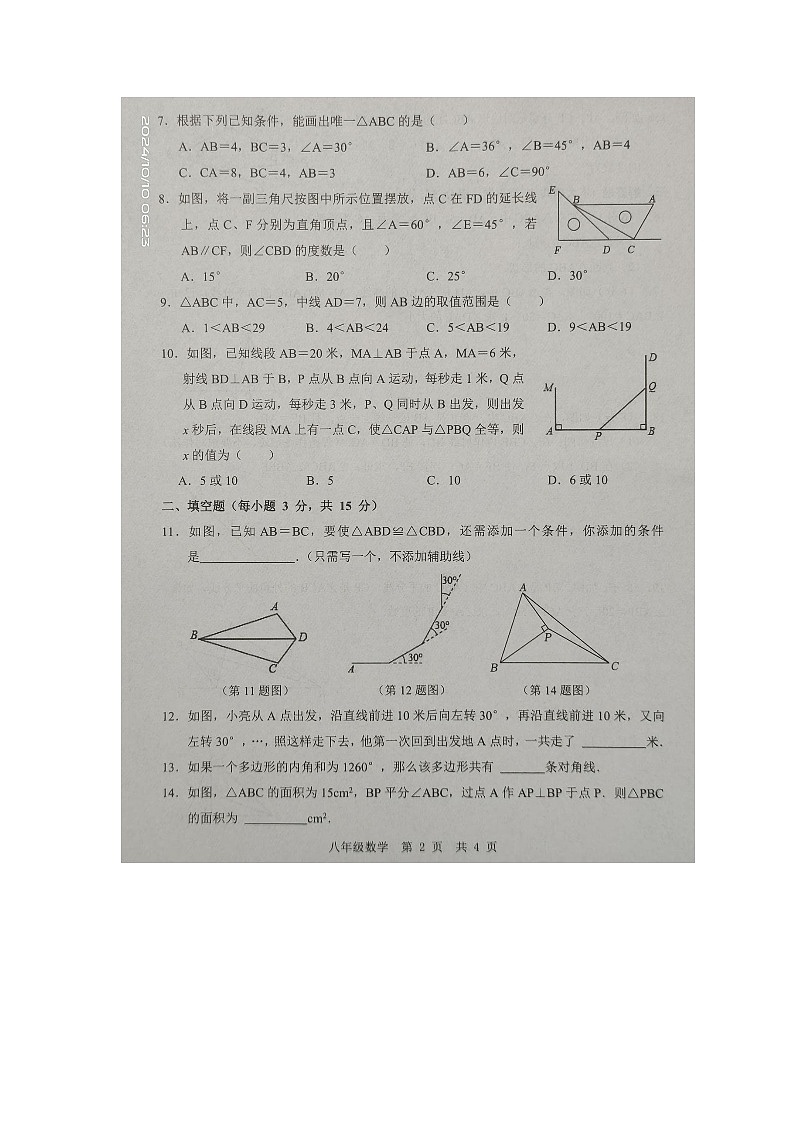 山东省济宁市金乡县2024-2025学年八年级上学期10月月考数学试题第2页