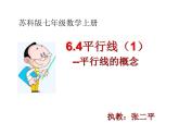 6.4平行线（1）--平行线的概念课件2024-2025学年苏科版七年级数学上册