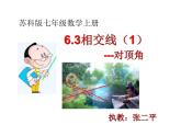 6.3相交線（1）---對頂角課件2024-2025學年蘇科版七年級數(shù)學上冊