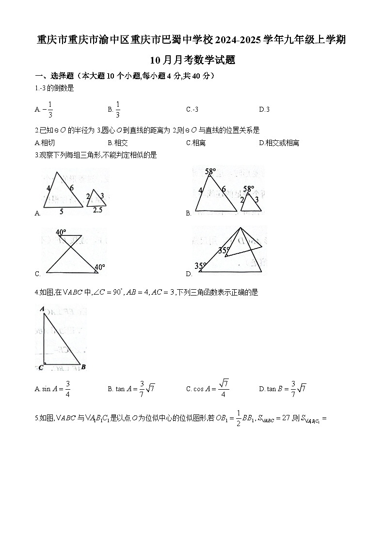 重庆市重庆市渝中区重庆市巴蜀中学校2024-2025学年九年级上学期10月月考数学试题(无答案)第1页
