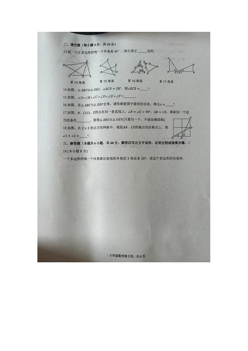 山东省临沂市2024-2025学年八年级上学期数学月考试题03