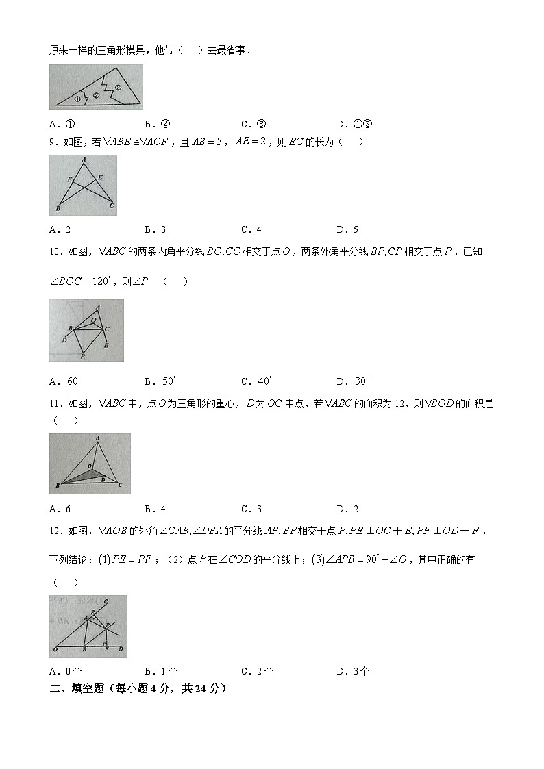 山东省临沂市2024-2025学年八年级上学期数学月考试题(无答案)02