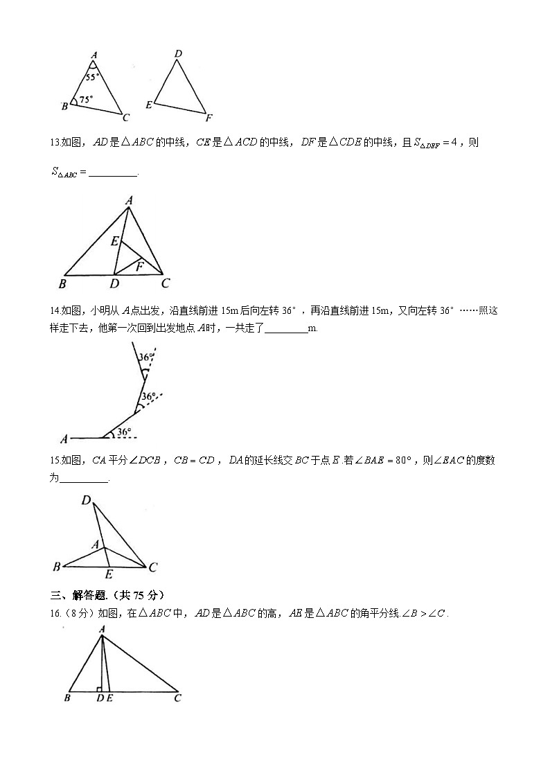 河南省周口市鹿邑县2024-2025学年八年级上学期10月月考数学试题(无答案)第3页