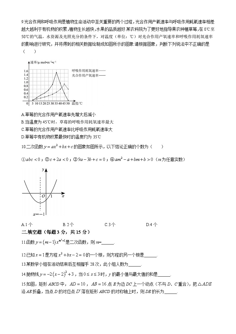 河南省洛阳市东方第二中学2024-2025学年九年级上学期第一次月考数学试卷02
