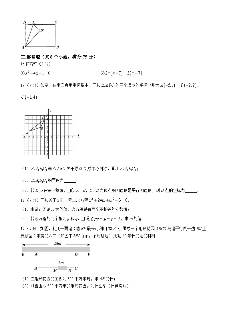 河南省洛阳市东方第二中学2024-2025学年九年级上学期第一次月考数学试卷03