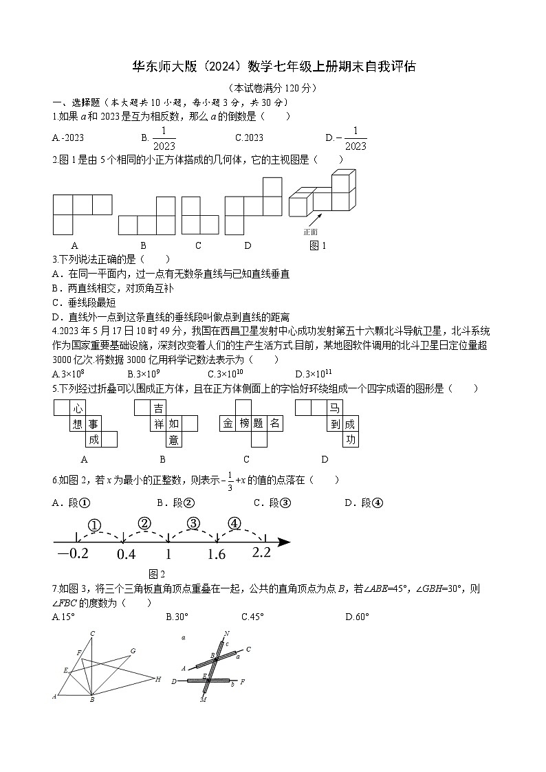 期末自我评估2024-2025学年华东师大版（2024）数学七年级上册第1页