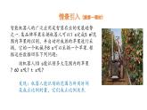 3.1代数式（第3课时）反比例关系课件  2024-2025学年人教版数学七年级上册